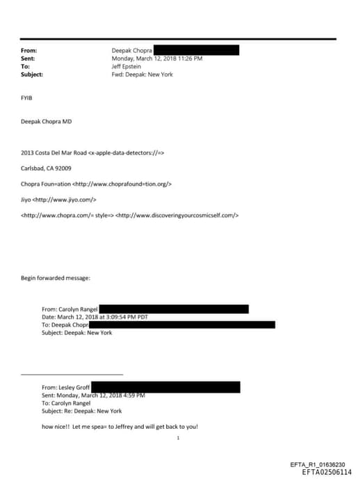 Preview of EFTA02506114