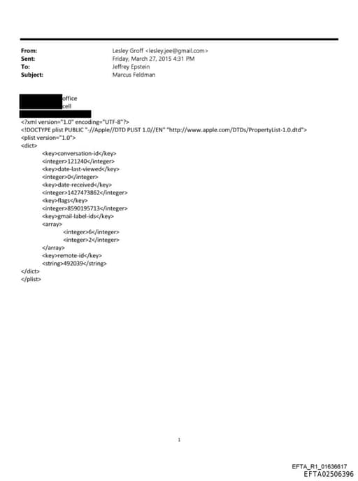 Preview of EFTA02506396