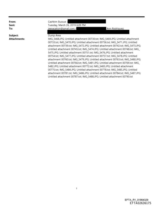 Preview of EFTA02636175