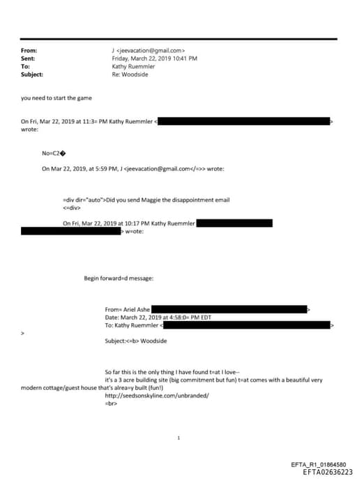 Preview of EFTA02636223