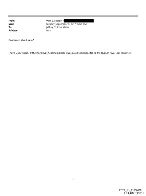 Preview of EFTA02636819