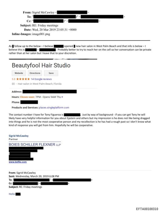 Preview of EFTA00100310