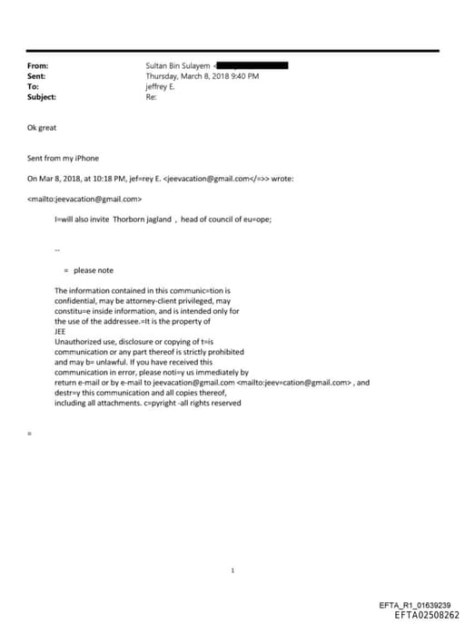 Preview of EFTA02508262