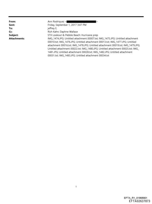 Preview of EFTA02637873