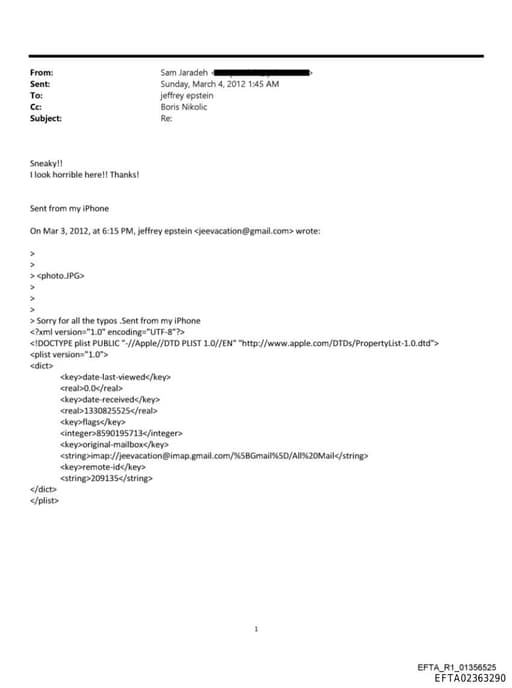 Preview of EFTA02363290