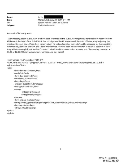 Preview of EFTA02363524