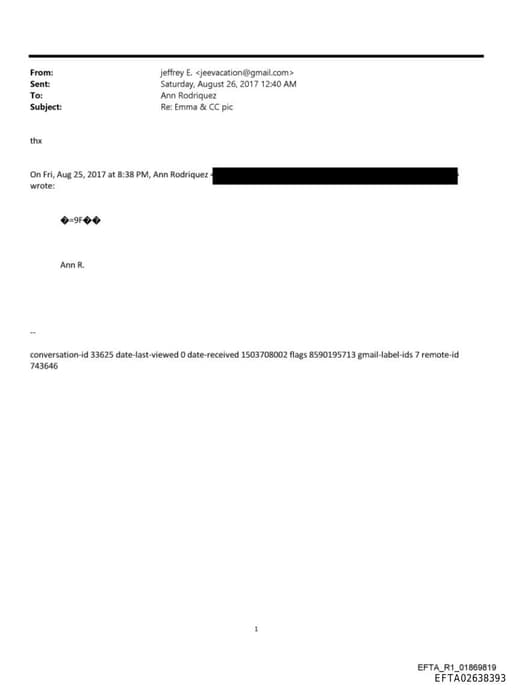 Preview of EFTA02638393