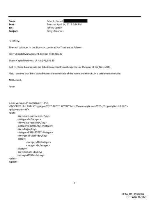 Preview of EFTA02363828