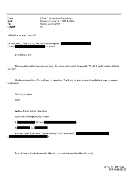 Preview of EFTA02509303