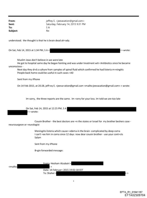 Preview of EFTA02509704