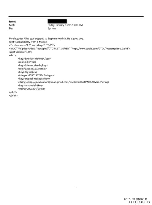 Preview of EFTA02365117