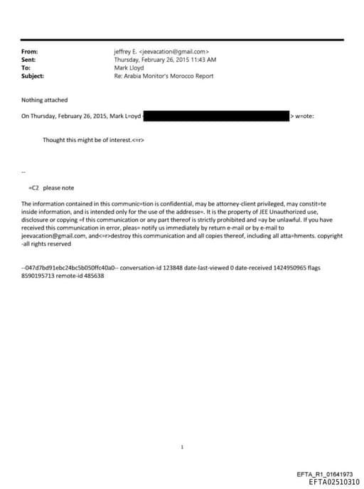 Preview of EFTA02510310