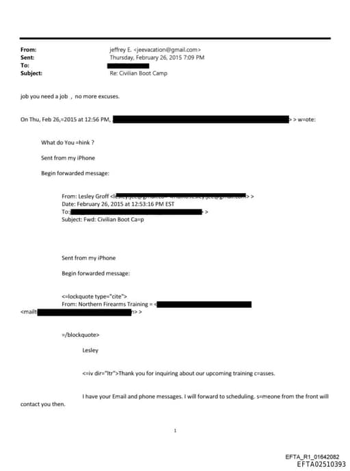 Preview of EFTA02510393