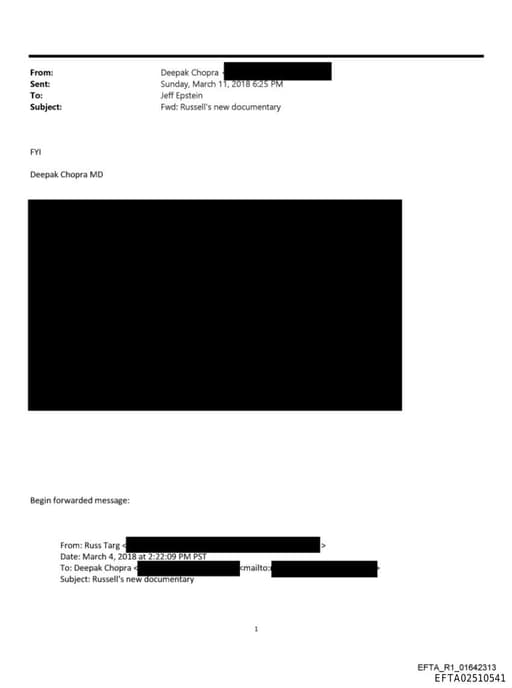 Preview of EFTA02510541