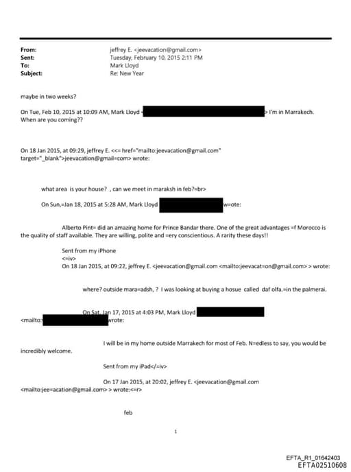 Preview of EFTA02510608