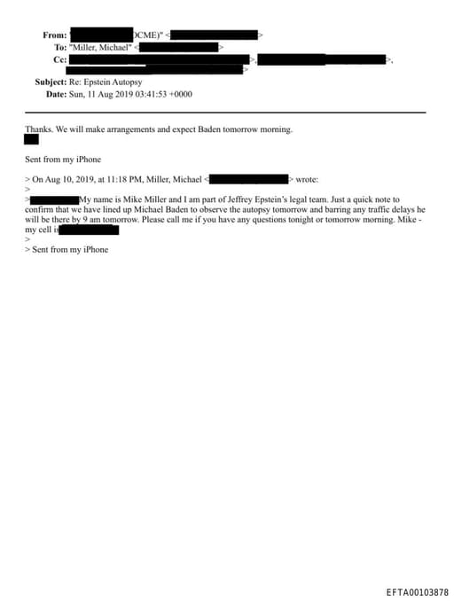 Preview of EFTA00103878