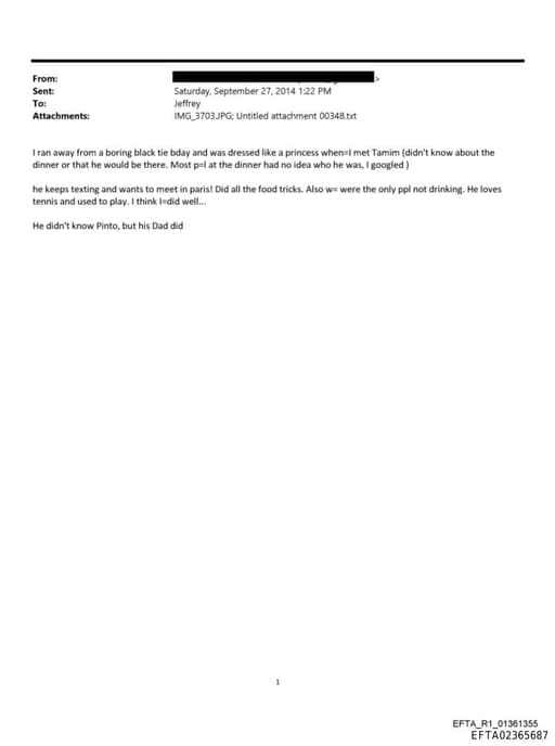 Preview of EFTA02365687