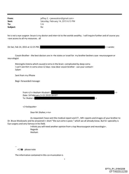 Preview of EFTA02511230