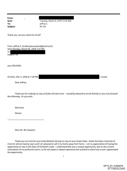 Preview of EFTA02511641