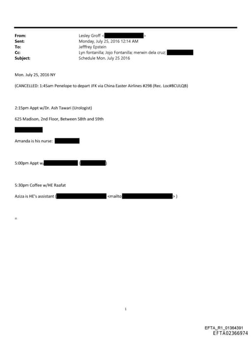 Preview of EFTA02366974