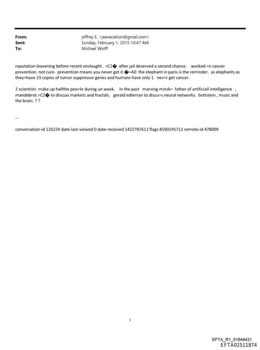 Preview of EFTA02511874