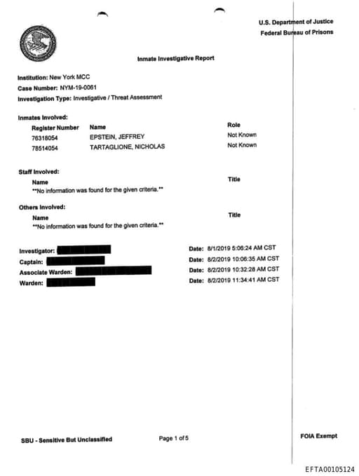 Preview of EFTA00105124