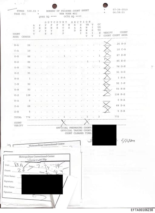 Preview of EFTA00106238