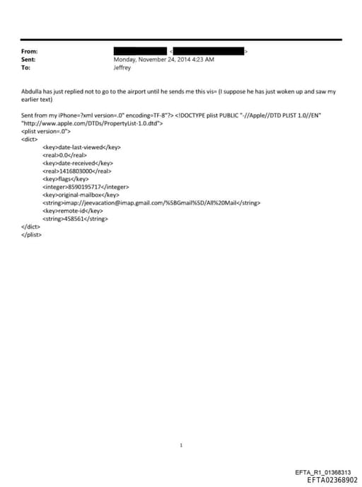 Preview of EFTA02368902