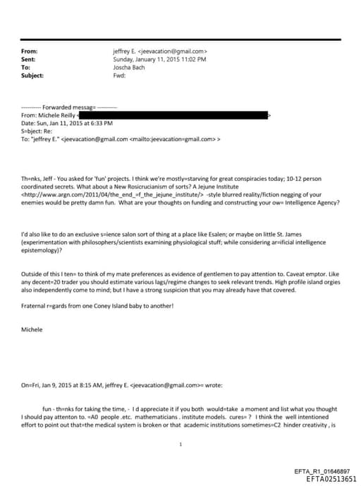 Preview of EFTA02513651