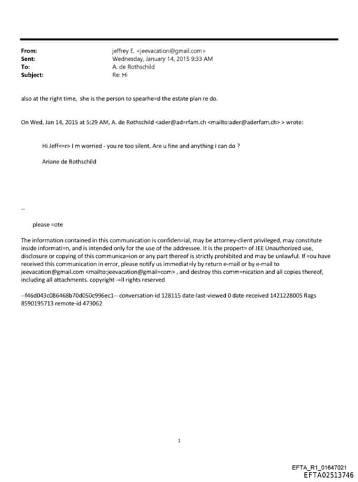 Preview of EFTA02513746