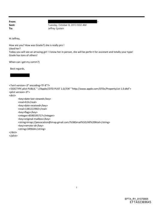 Preview of EFTA02369645