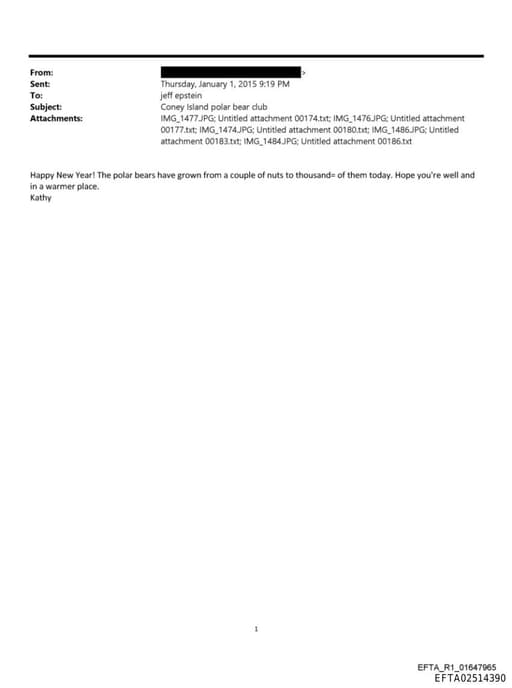 Preview of EFTA02514390