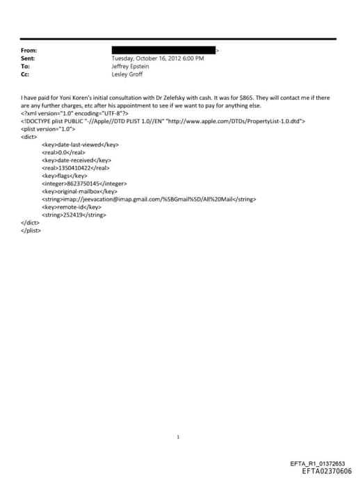 Preview of EFTA02370606