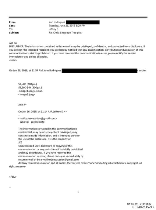 Preview of EFTA02515245