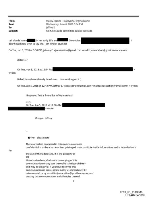 Preview of EFTA02645899