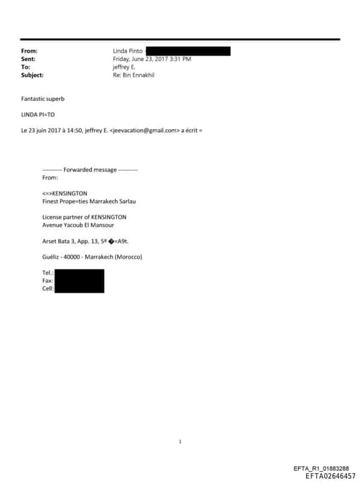 Preview of EFTA02646457