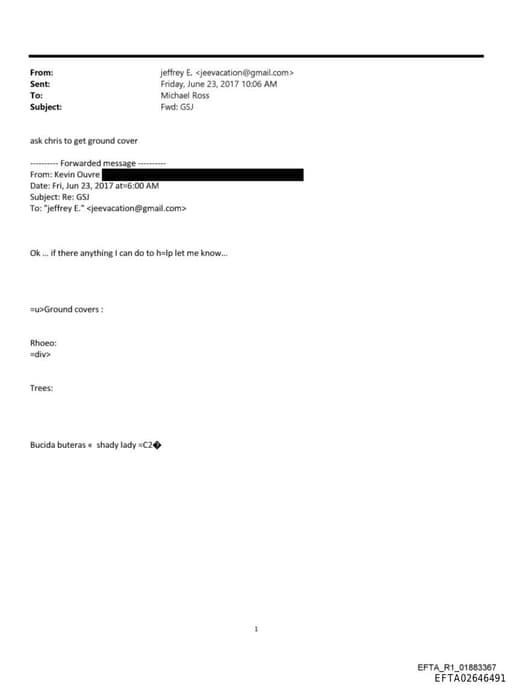 Preview of EFTA02646491