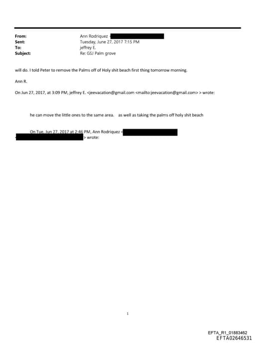 Preview of EFTA02646531