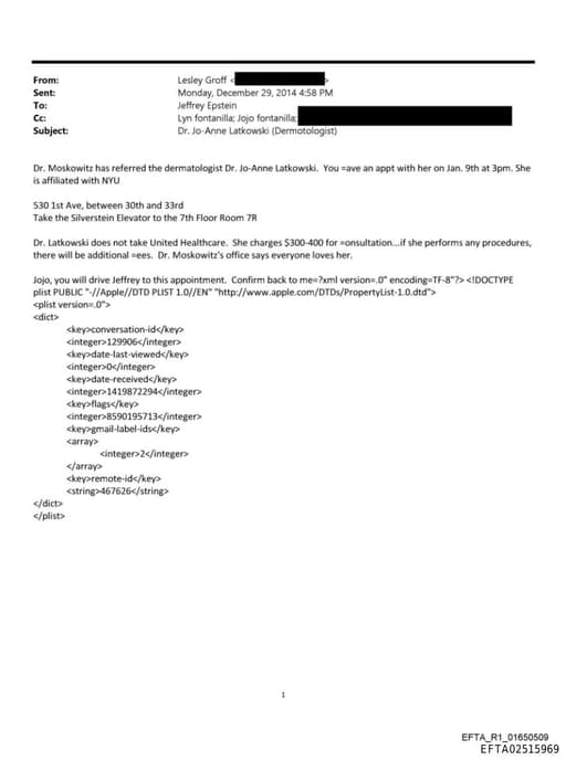 Preview of EFTA02515969