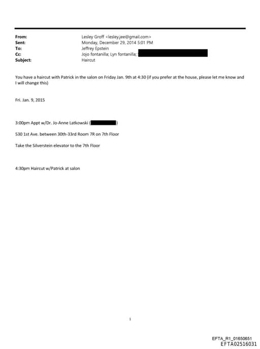 Preview of EFTA02516031