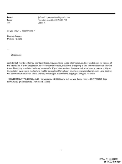 Preview of EFTA02646919