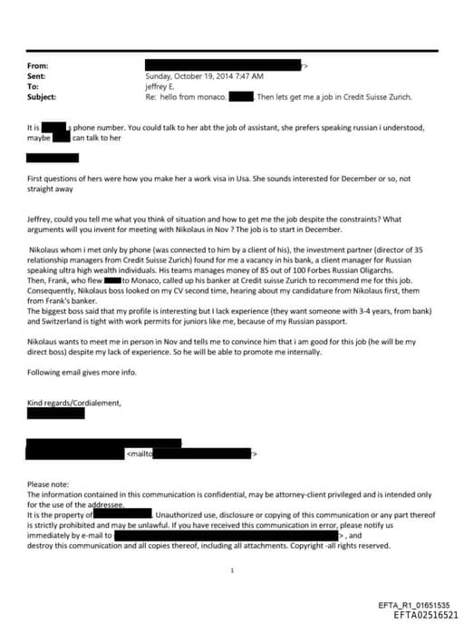 Preview of EFTA02516521