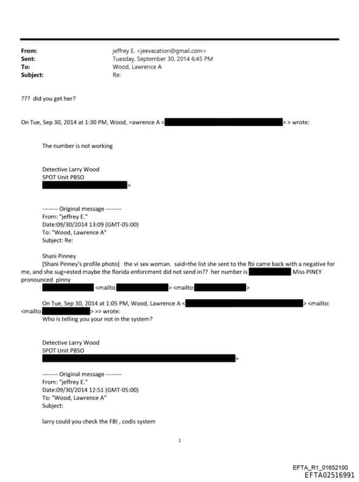 Preview of EFTA02516991