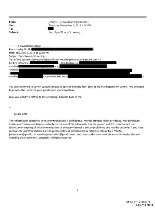 Preview of EFTA02517054