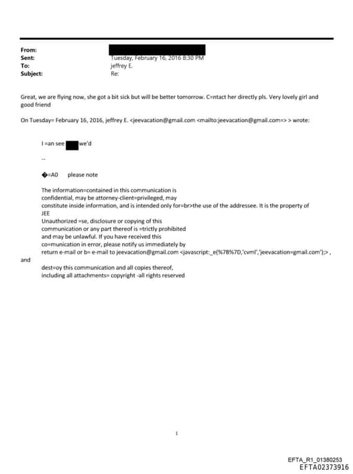 Preview of EFTA02373916