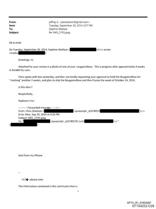 Preview of EFTA02517228