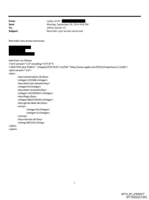 Preview of EFTA02517341