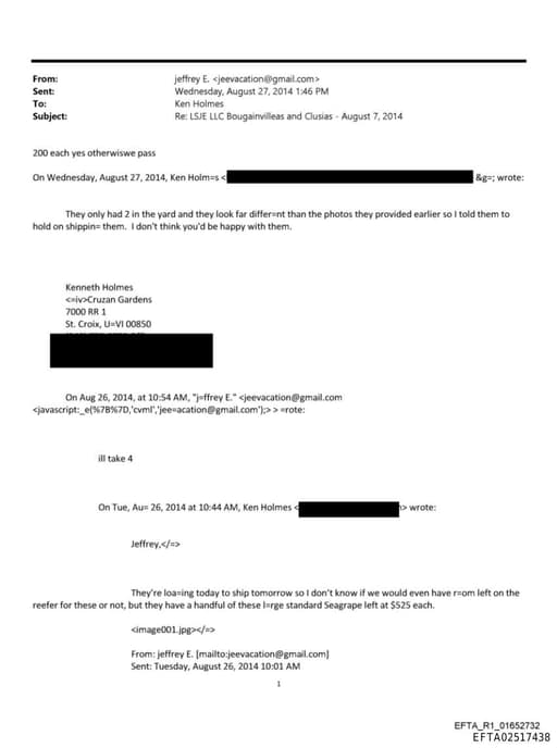 Preview of EFTA02517438