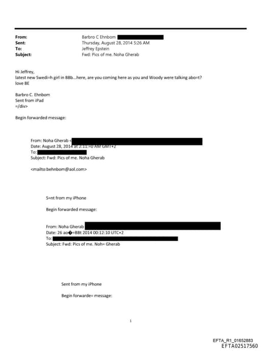 Preview of EFTA02517560