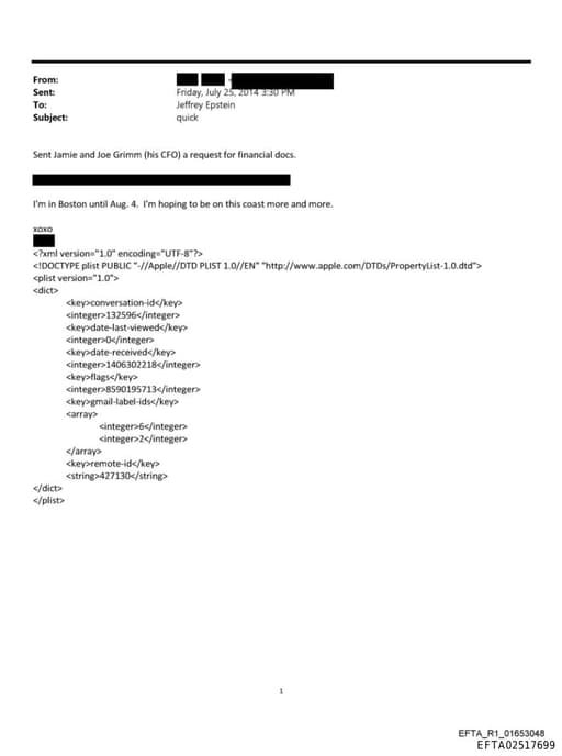 Preview of EFTA02517699